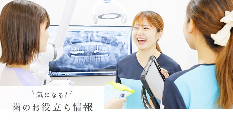 歯科技工 三金乳歯冠上下額セット （金乳歯 奥歯 【通常